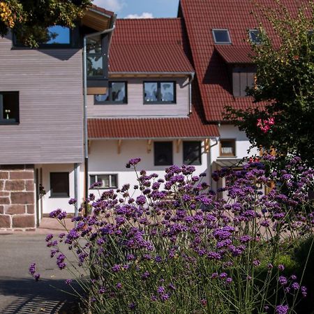 Saunaloft Schwarzwald Gemeinde Gemeinde Aichhalden エクステリア 写真