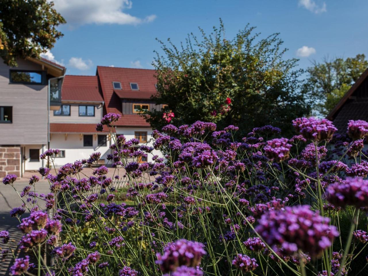 Saunaloft Schwarzwald Gemeinde Gemeinde Aichhalden エクステリア 写真