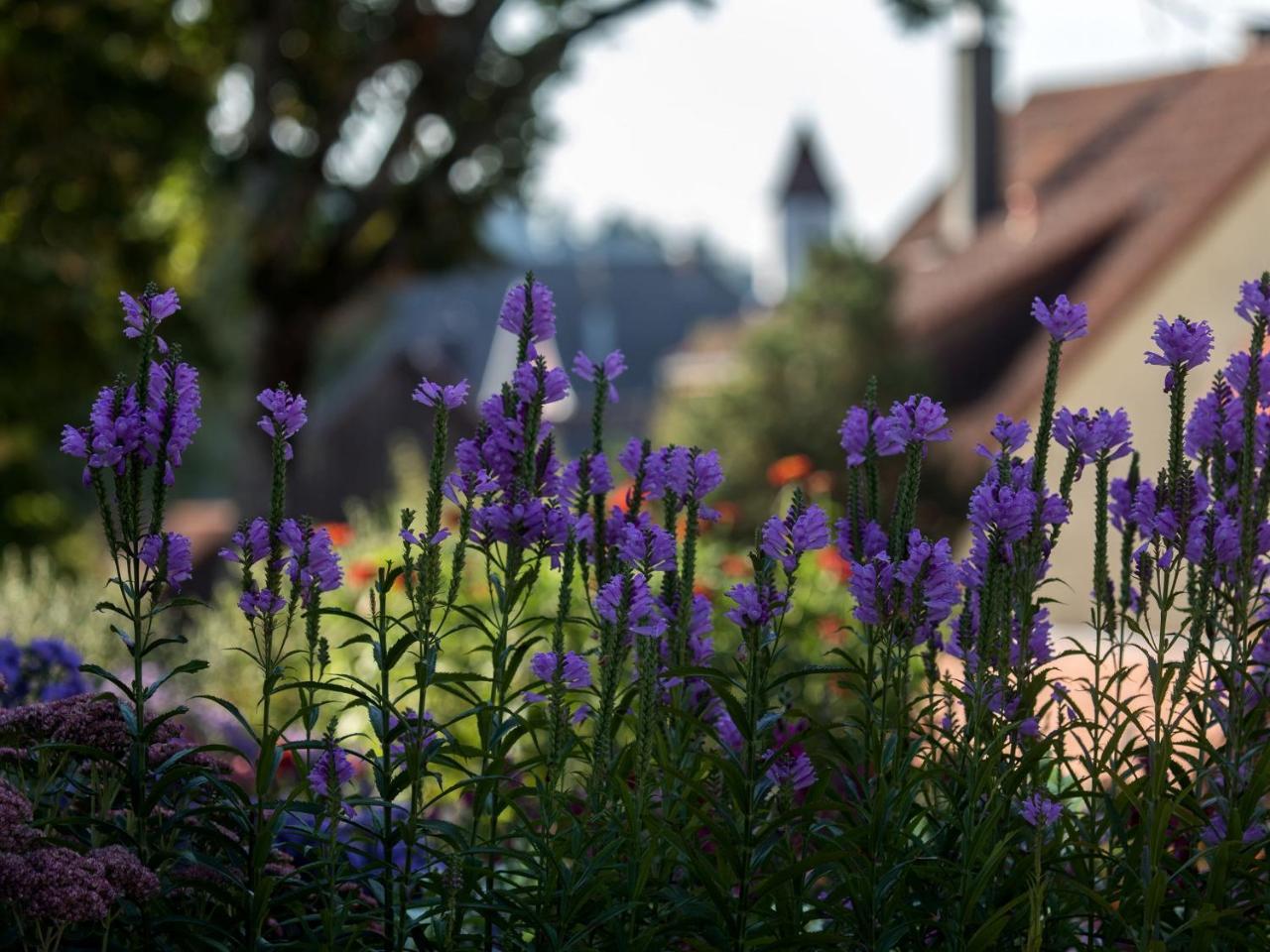 Saunaloft Schwarzwald Gemeinde Gemeinde Aichhalden エクステリア 写真